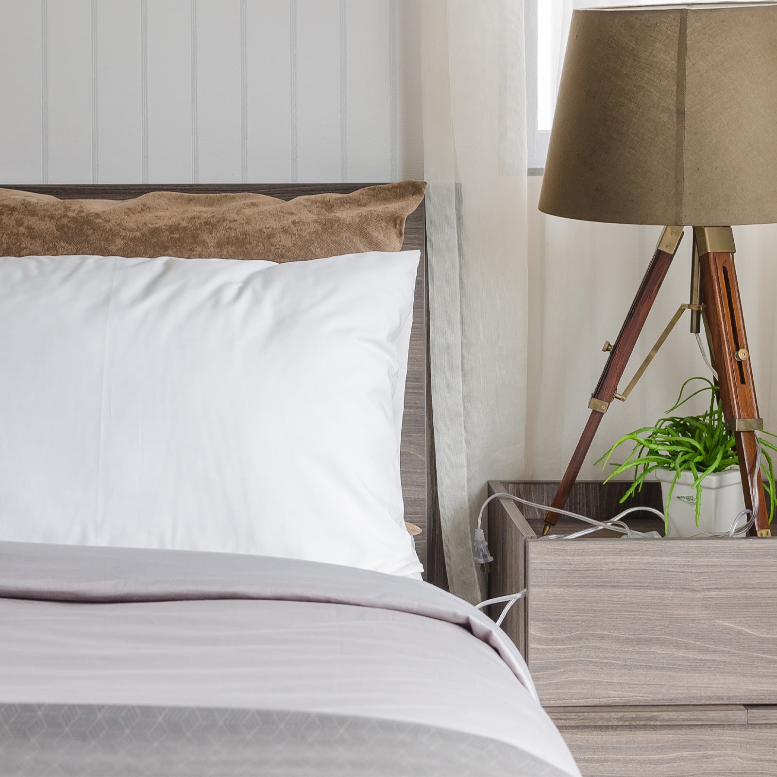 Royal Comfort Tencel Blend Pillow One Pack Eco Friendly Breathable Ultra Soft-Bedding-PEROZ Accessories