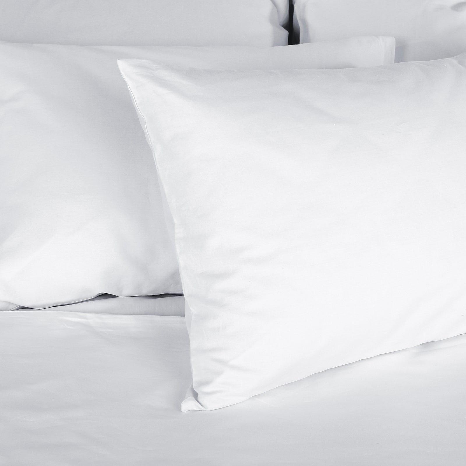 Royal Comfort Tencel Blend Pillow One Pack Eco Friendly Breathable Ultra Soft-Bedding-PEROZ Accessories