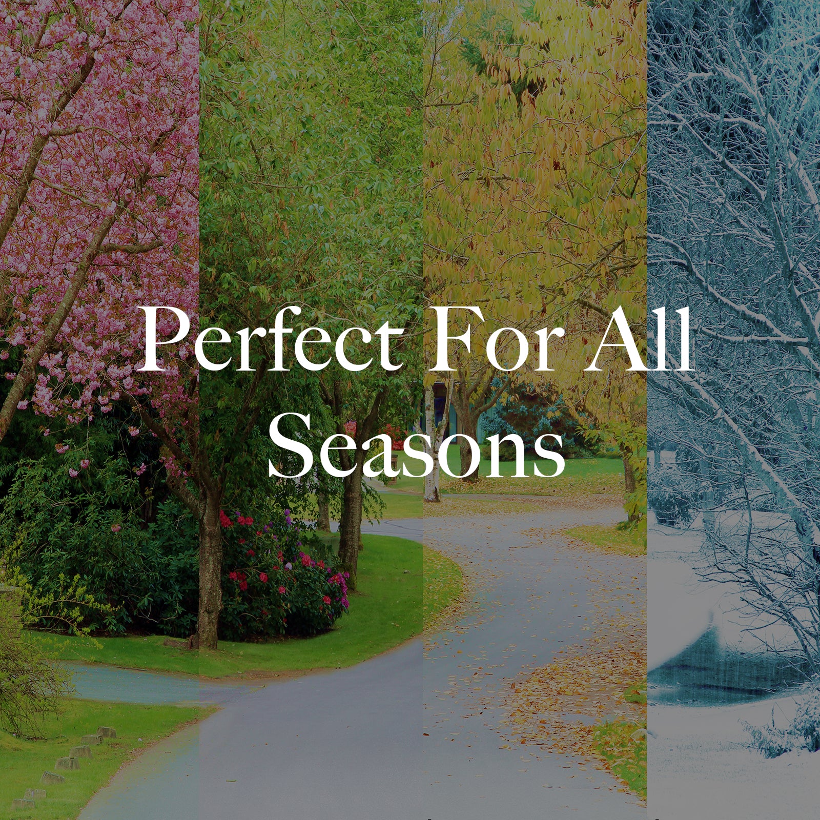 Royal Comfort Velvet Quilt Cover Set Super Soft Luxurious Warmth Bedding-Bed Linen-PEROZ Accessories