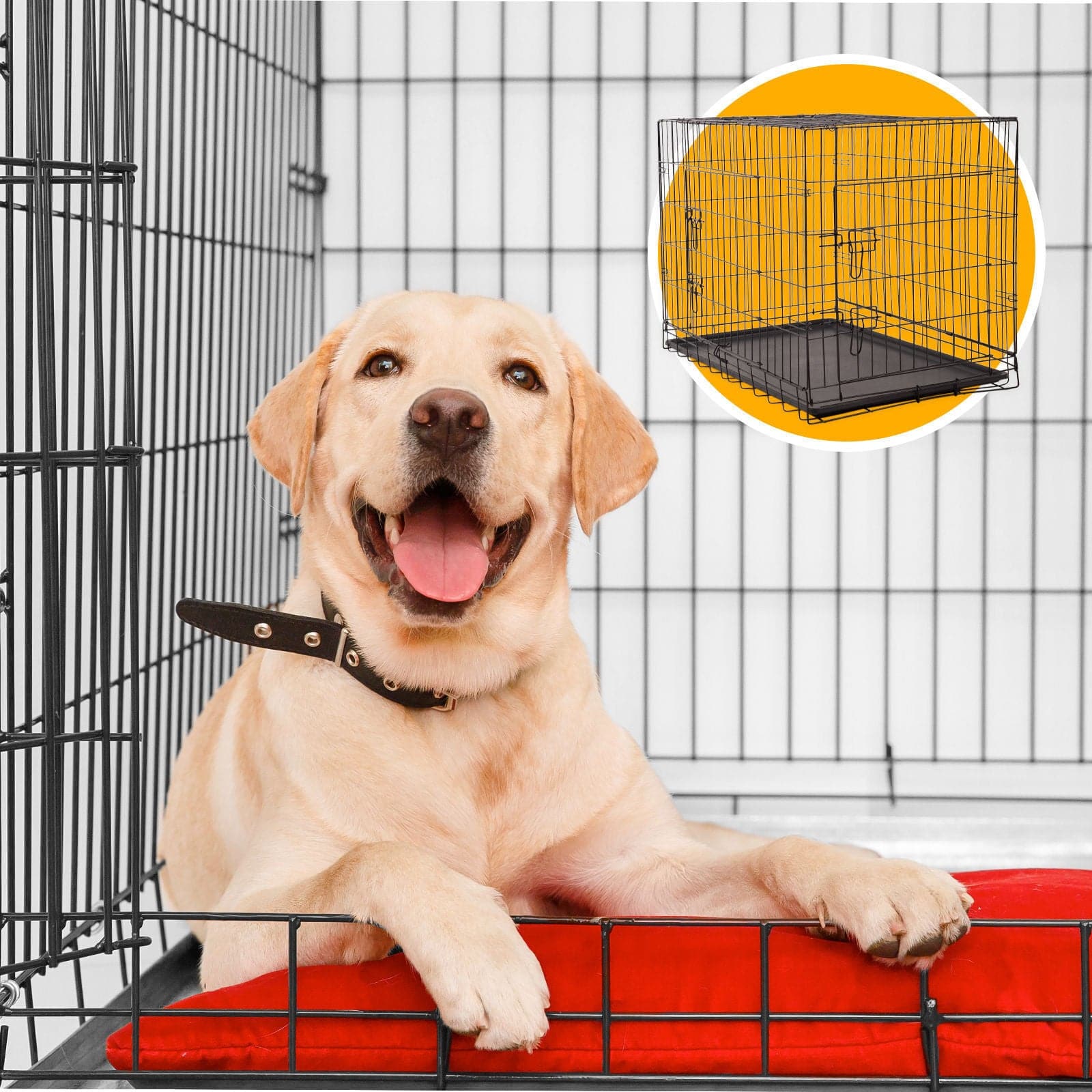 4Paws Dog Cage Pet Crate Cat Puppy Metal Cage ABS Tray Foldable Portable-Crates, Houses & Pens-PEROZ Accessories
