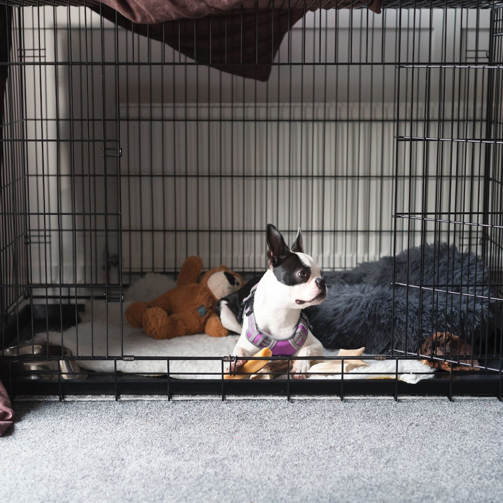 4Paws Dog Cage Pet Crate Cat Puppy Metal Cage ABS Tray Foldable Portable-Crates, Houses & Pens-PEROZ Accessories