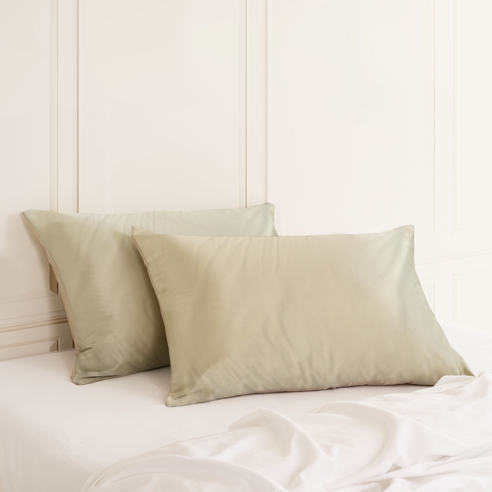 Royal Comfort Mulberry Soft Silk Hypoallergenic Pillowcase Twin Pack-Bed Linen-PEROZ Accessories