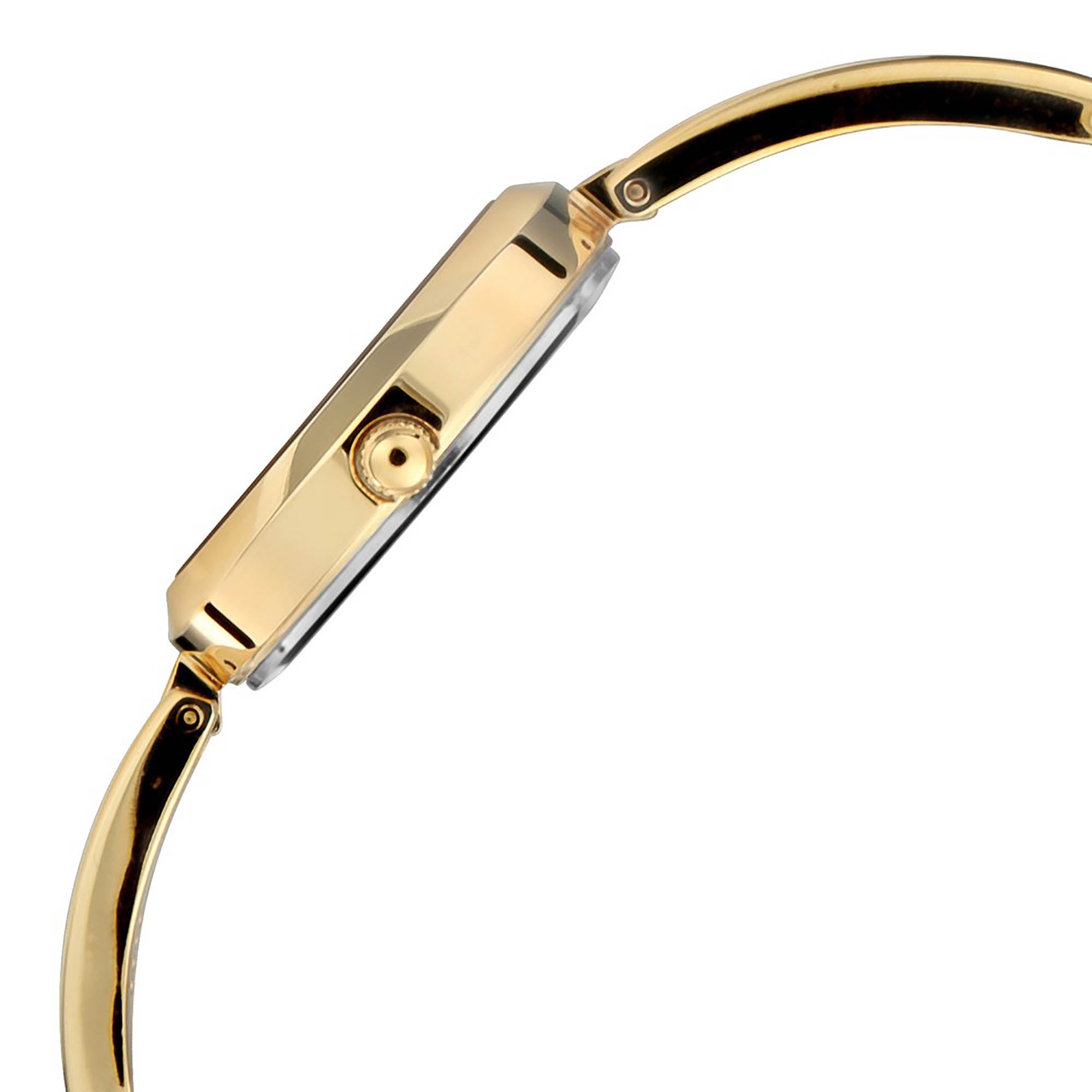 Titan Raga Viva Silver Dial Women Watch With Metal Strap-PEROZ Accessories