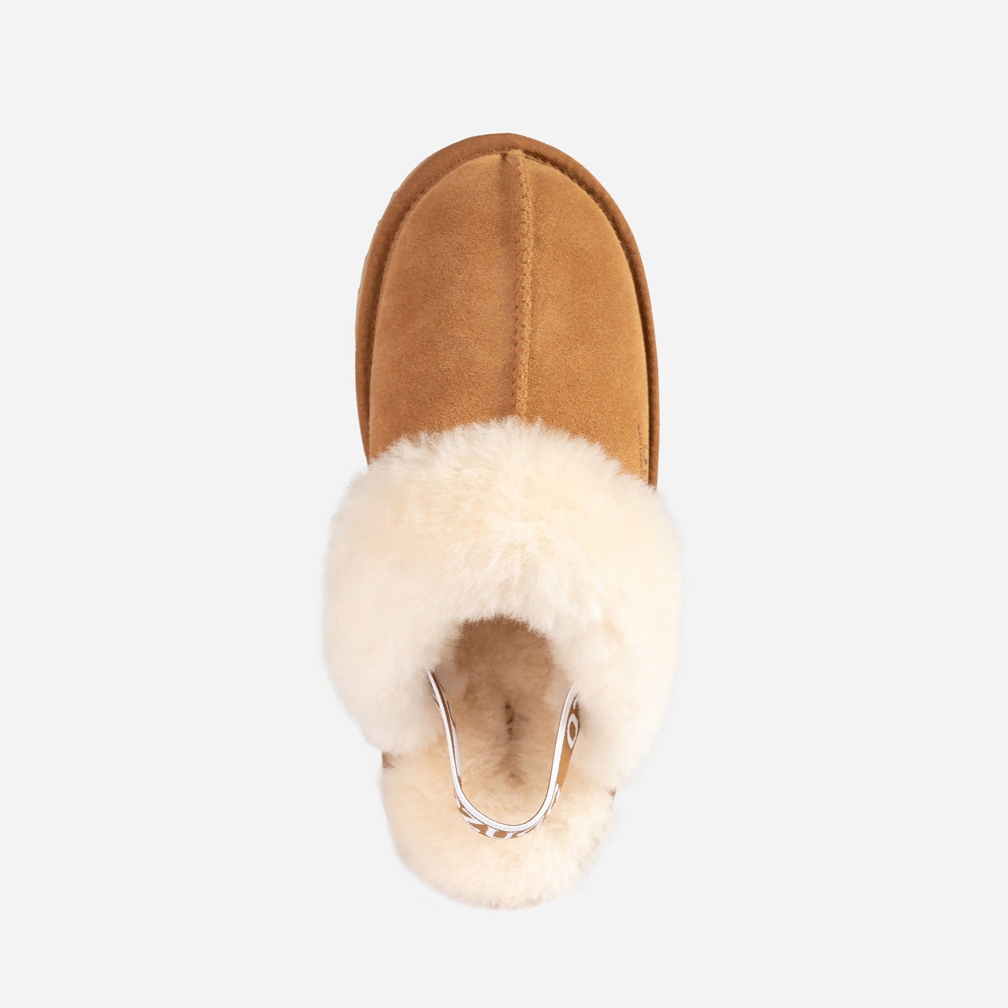 Ugg High Platform Slipper (Elastic Backstrap) (5cm)-LADIES UGG-PEROZ Accessories