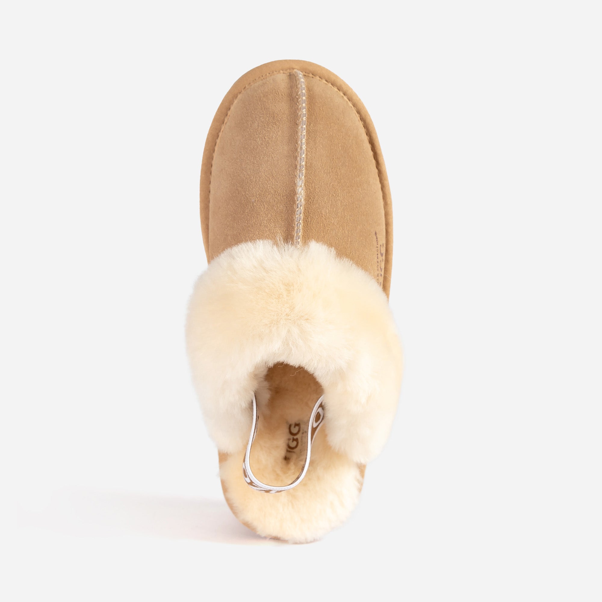 Ugg High Platform Slipper (Elastic Backstrap) (5cm)-LADIES UGG-PEROZ Accessories
