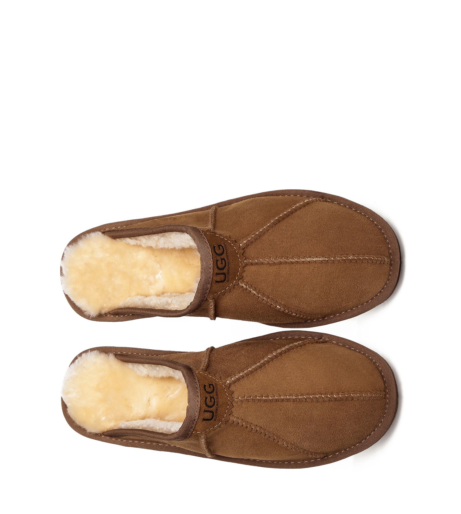 Australian Shepherd Rafael Men&