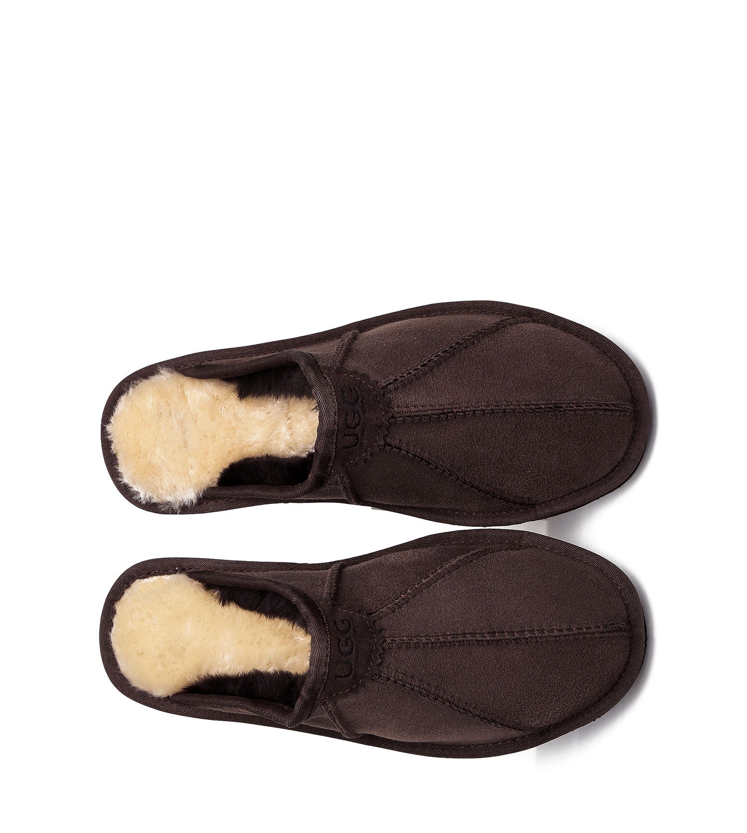 Australian Shepherd Rafael Men&