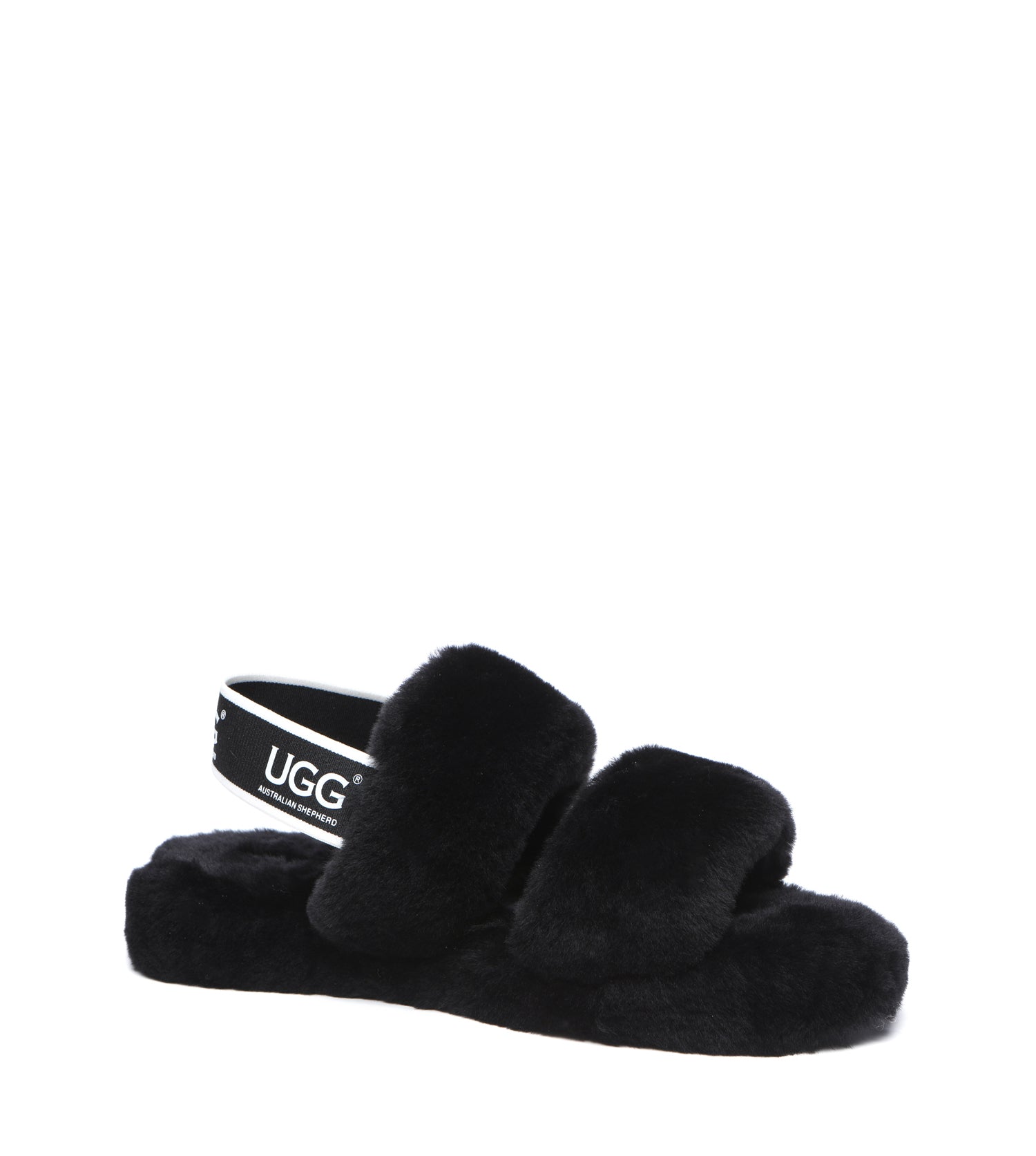 Australian Shepherd Lonnie Women&