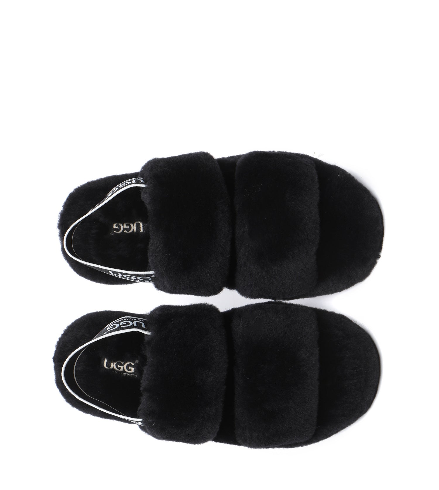 Australian Shepherd Lonnie Women&