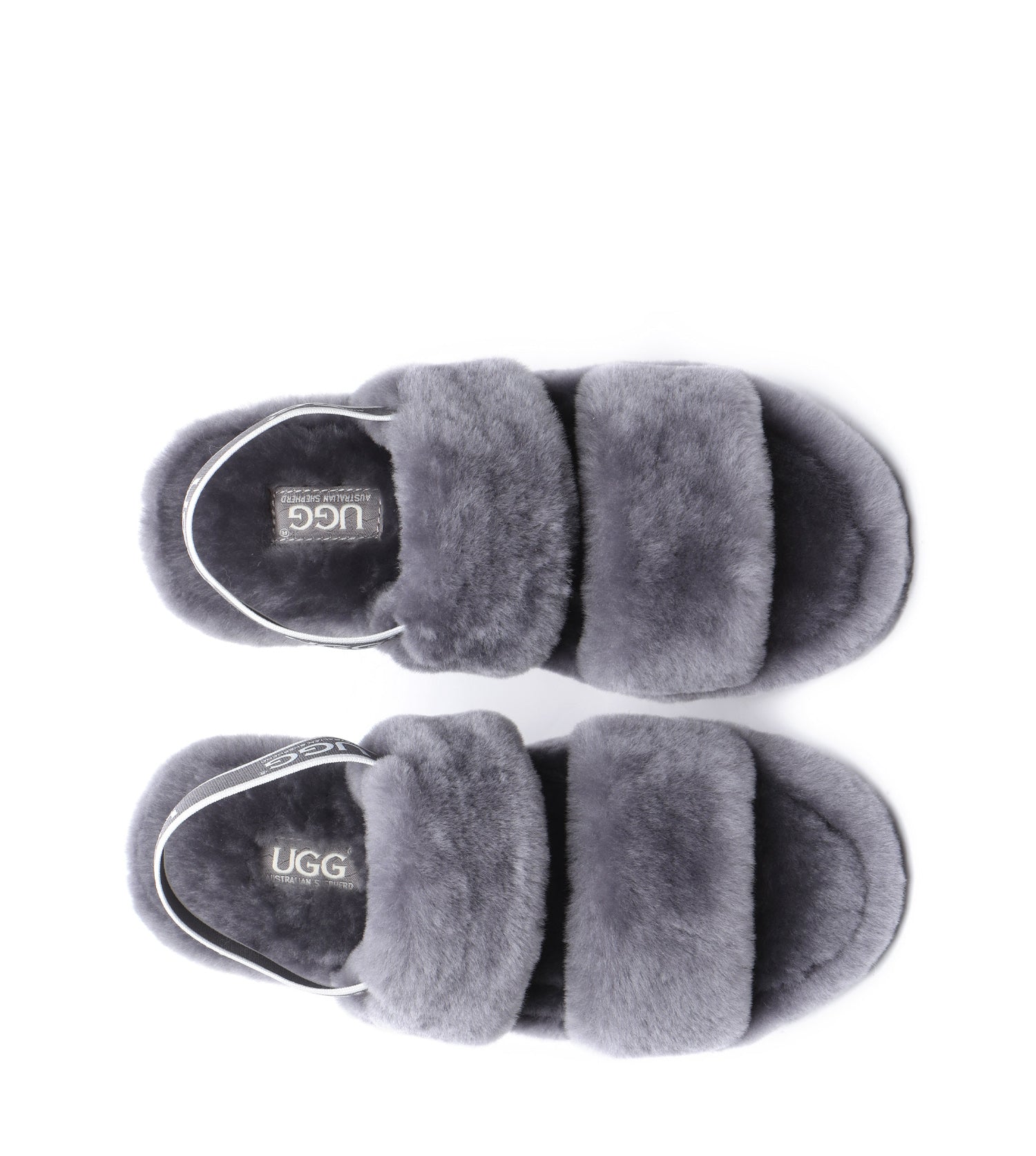 Australian Shepherd Lonnie Women&