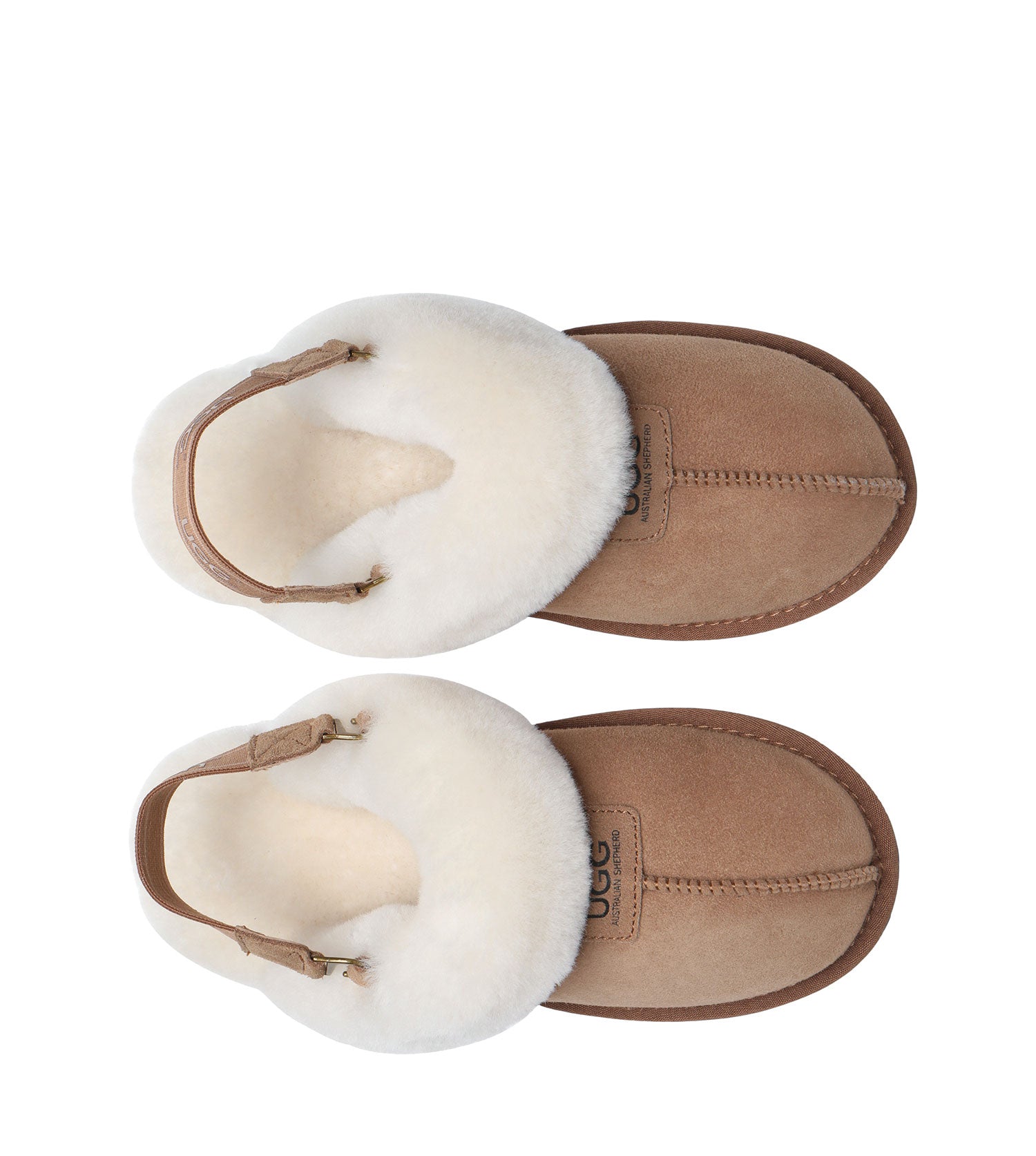Australian Shepherd Suzie Band Slipper | House Shoes AS2046-Slippers-PEROZ Accessories
