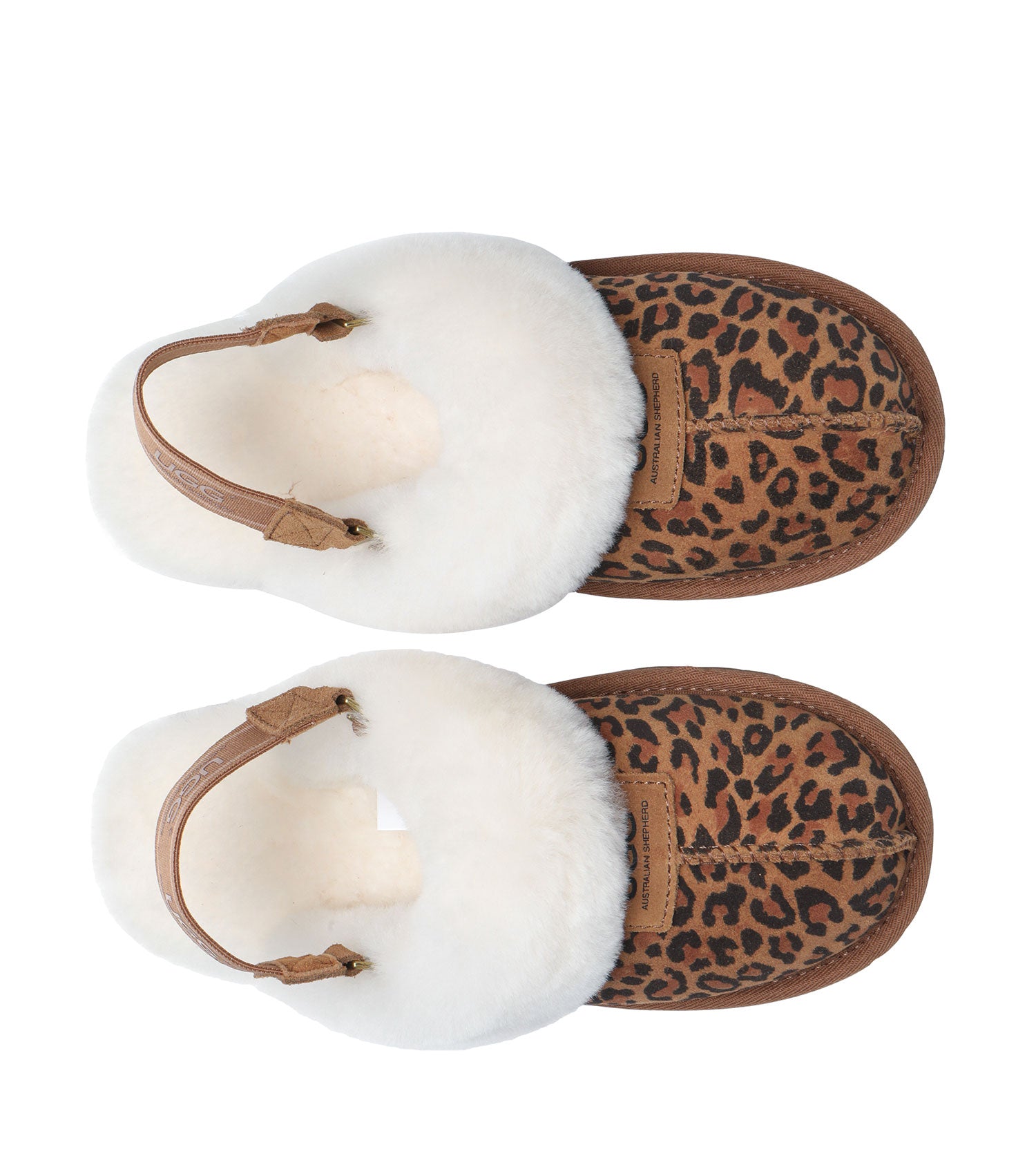 Australian Shepherd Suzie Band Slipper | House Shoes AS2046-Slippers-PEROZ Accessories