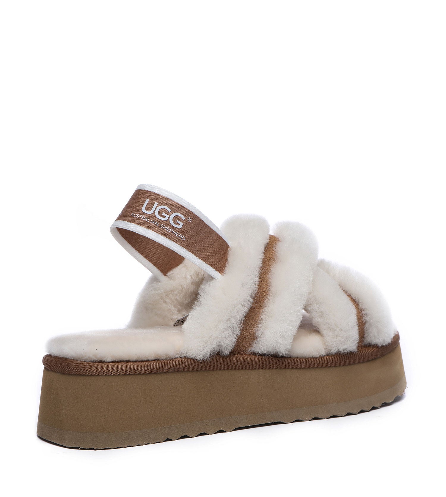 Australian Shepherd Aditi Women&