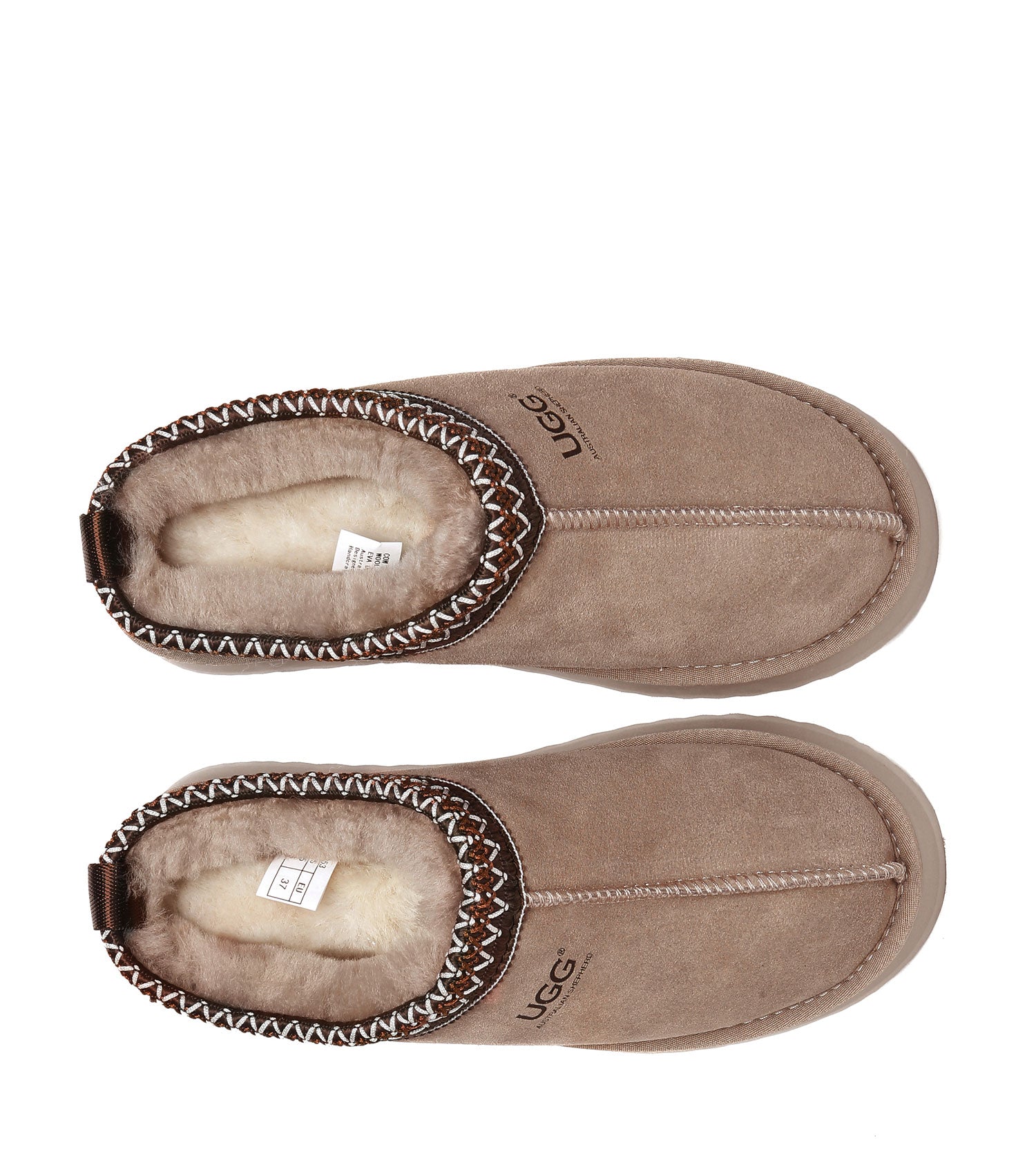 Australian Shepherd Ventus Platform Unisex Slippers - AS2053-Slippers-PEROZ Accessories