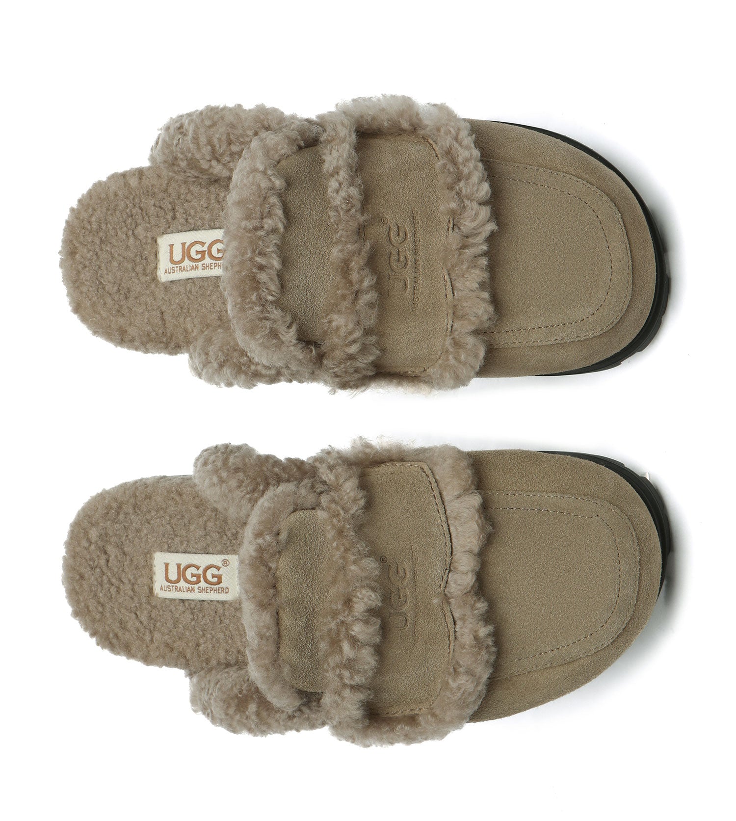 Australian Shepherd UGG Remi House Shoes - AS2054-House Shoes-PEROZ Accessories