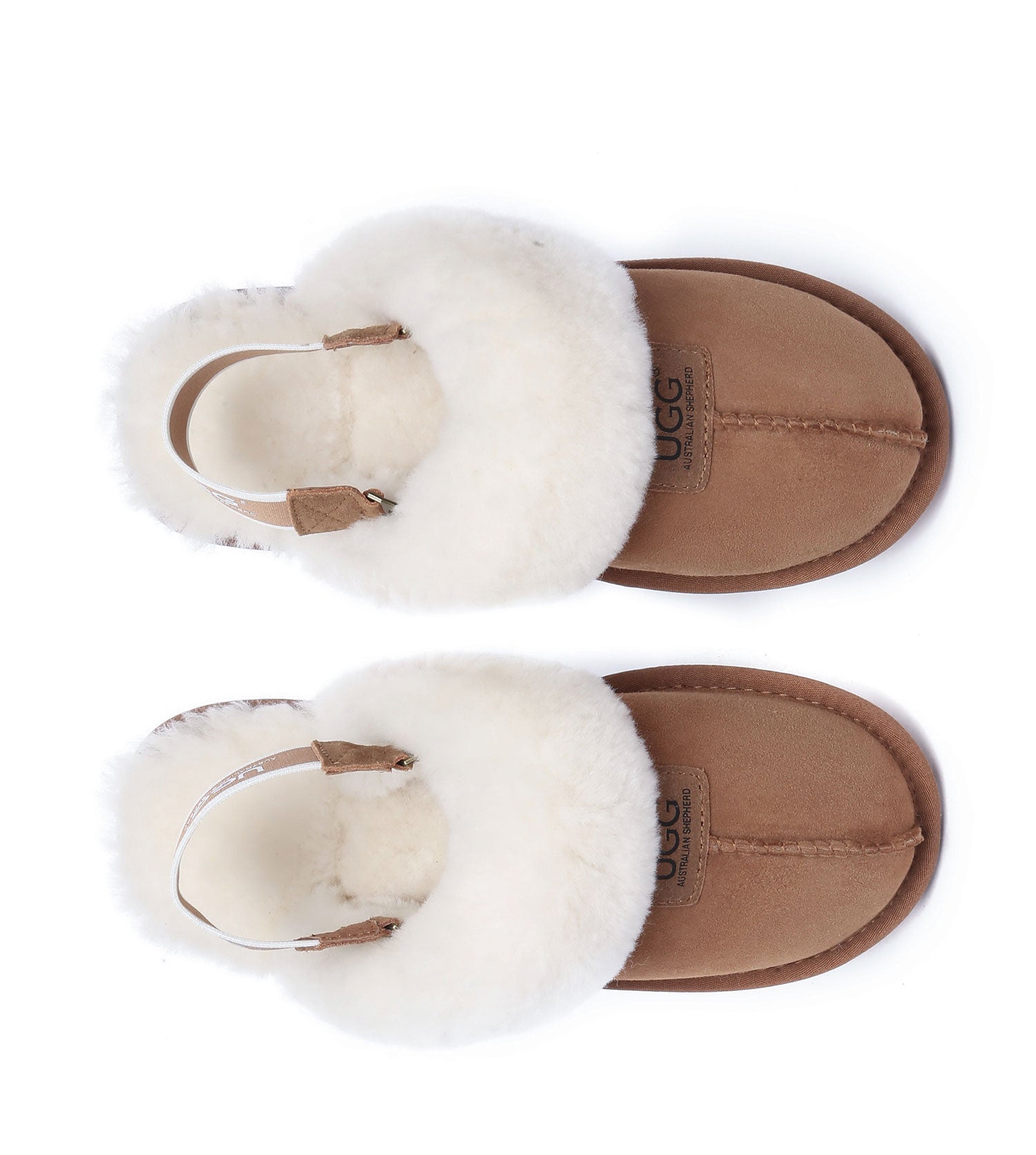 Australian Shepherd UGG Suzie Band Slipper ll House Shoes - AS2060-House Shoes-PEROZ Accessories