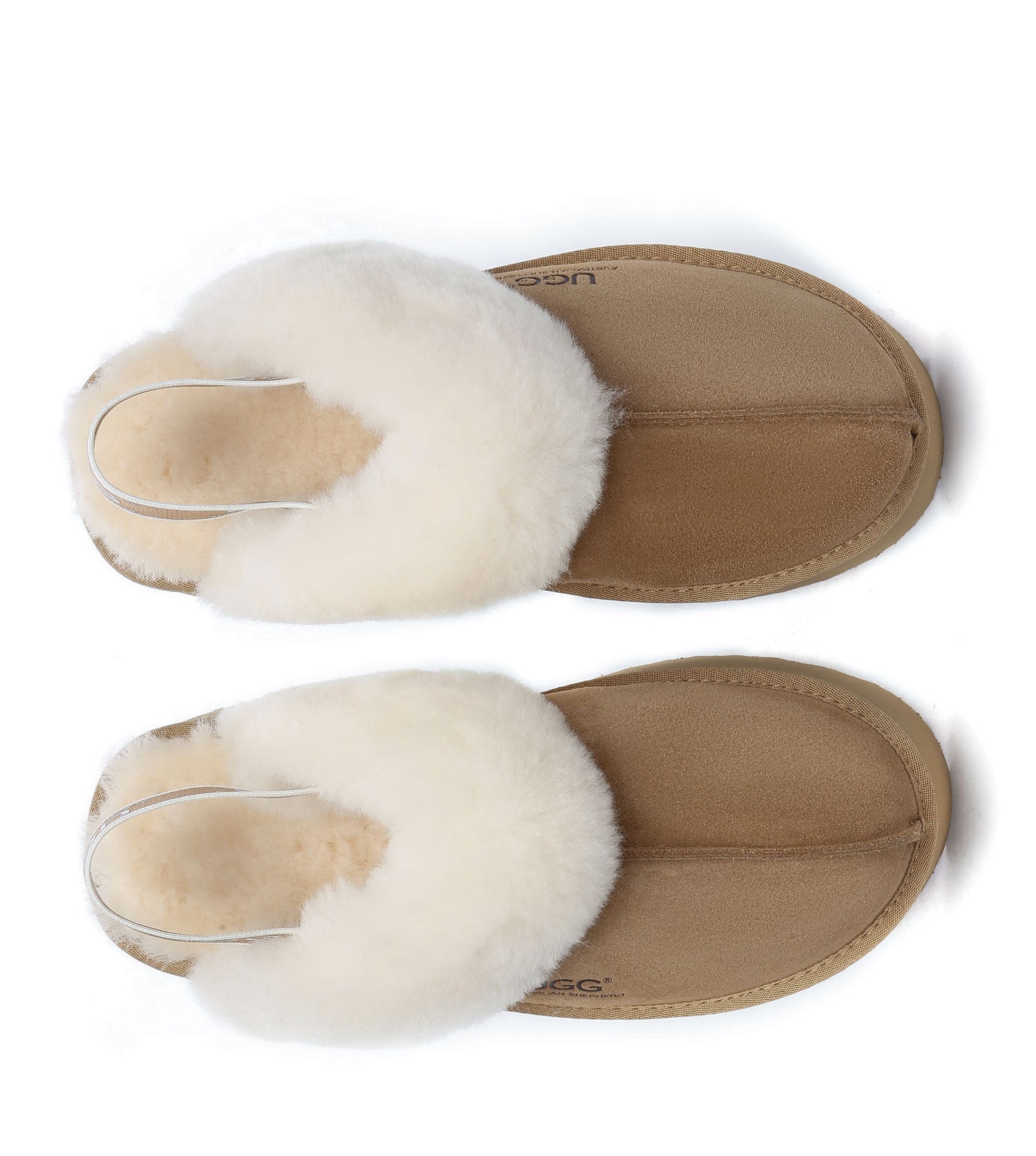 Australian Shepherd Muffin Plus Platform Slippers - AS2071-Slippers-PEROZ Accessories