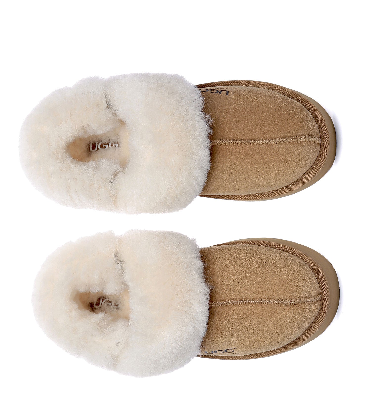 Australian Shepherd UGG Musa platform Slippers - AS2077-Slippers-PEROZ Accessories