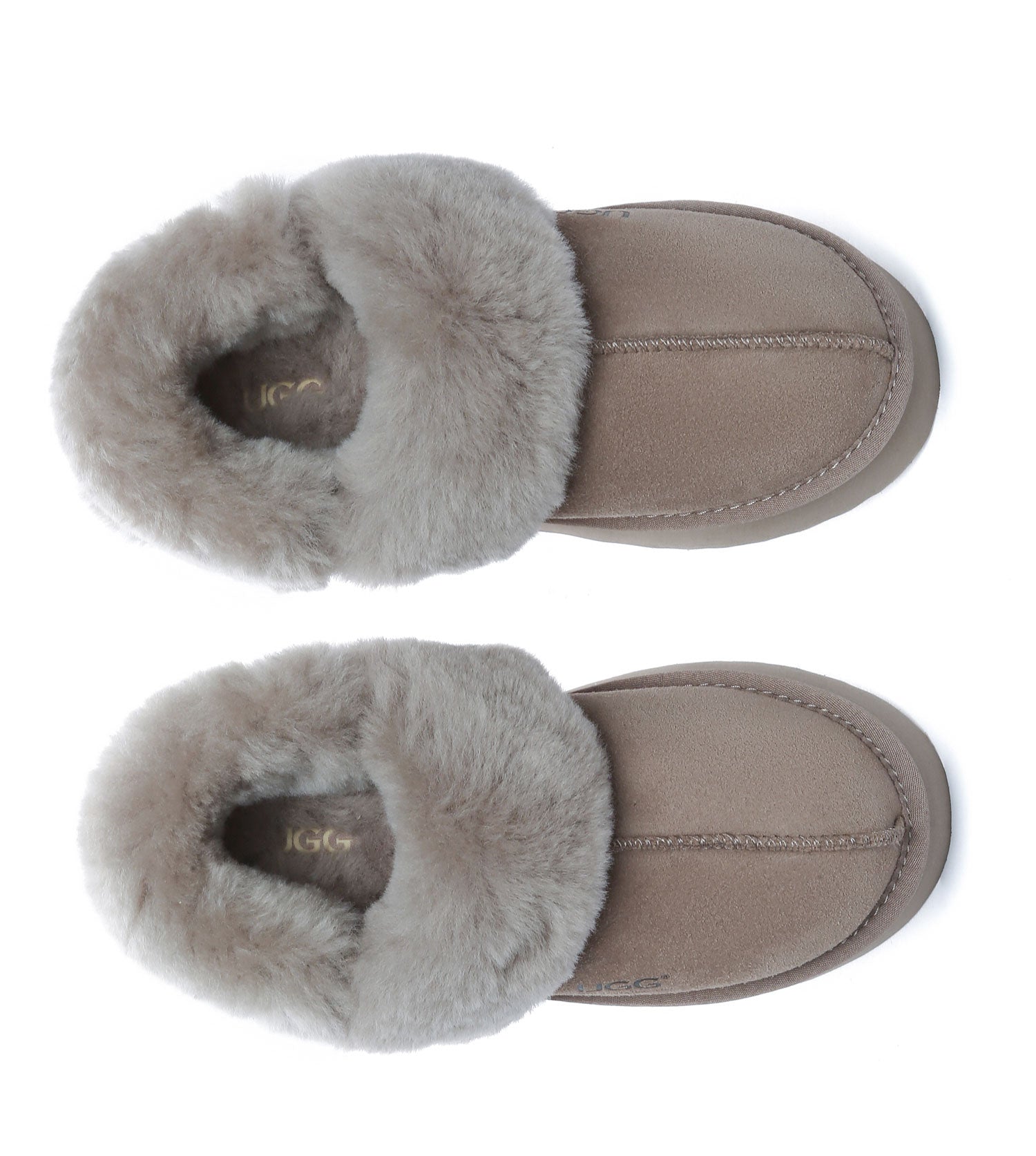 Australian Shepherd UGG Musa platform Slippers - AS2077-Slippers-PEROZ Accessories