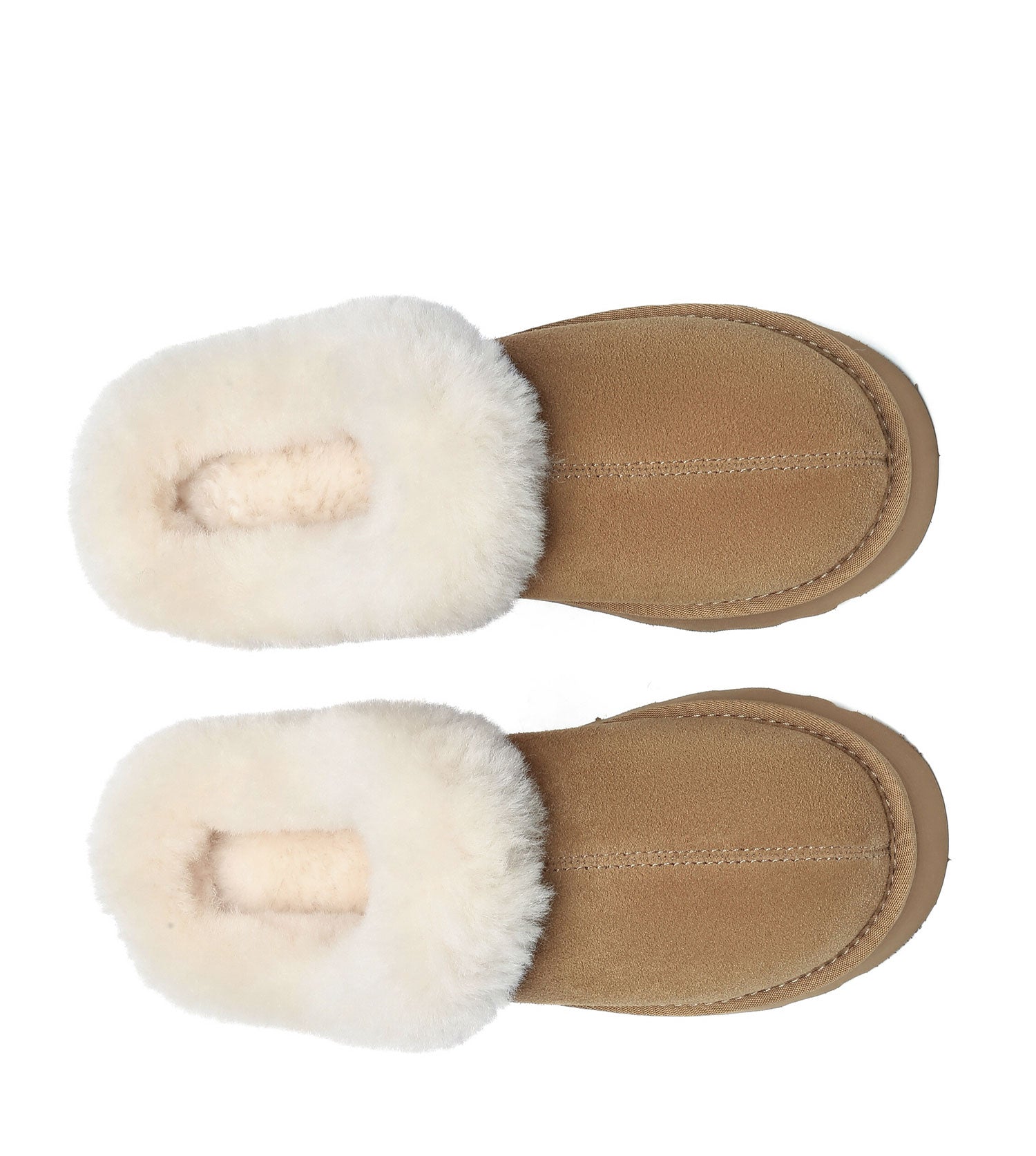 Australian Shepherd UGG Murray Platform Slippers - AS2088-Slippers-PEROZ Accessories