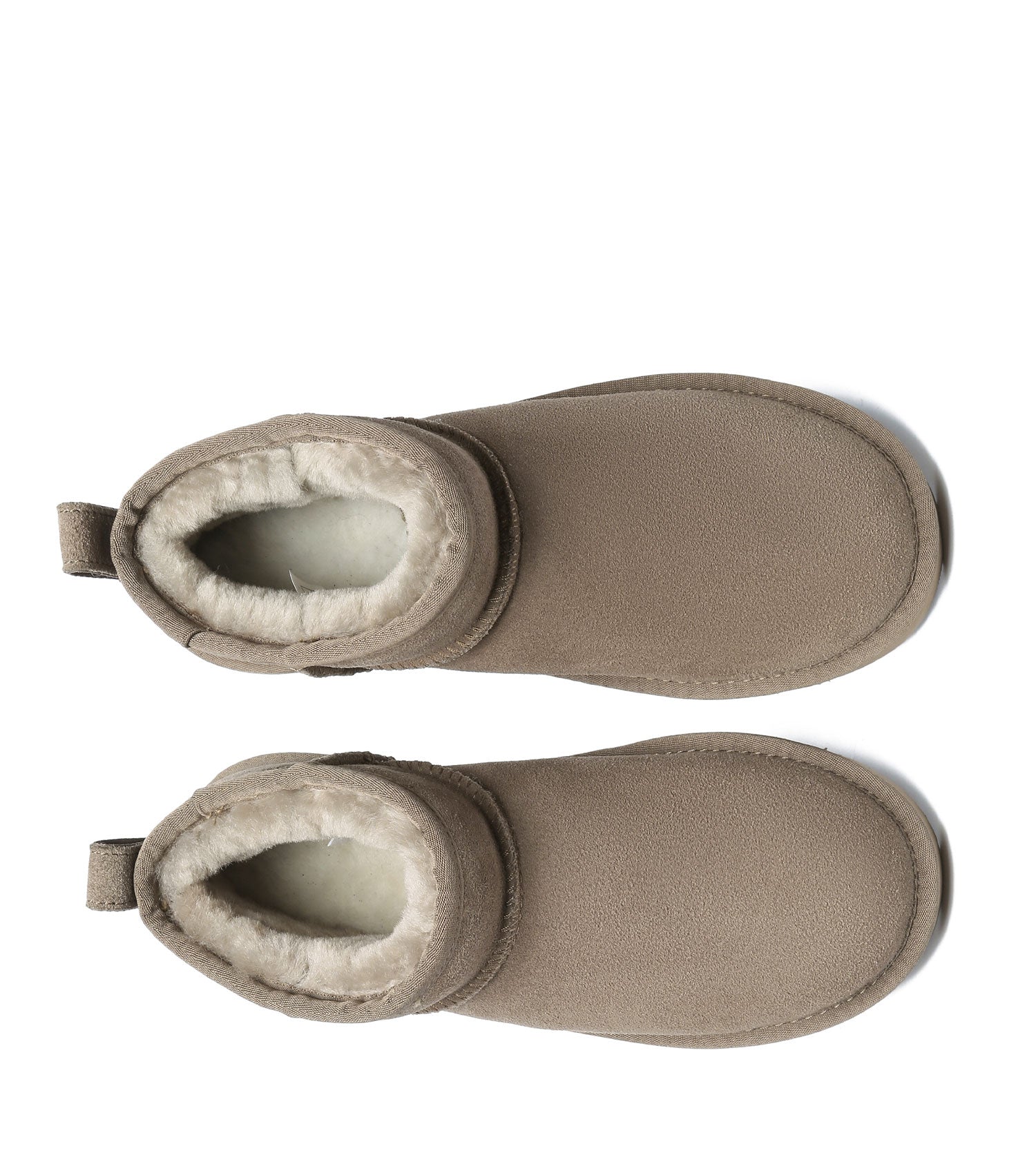 Australian Shepherd Julia Women&