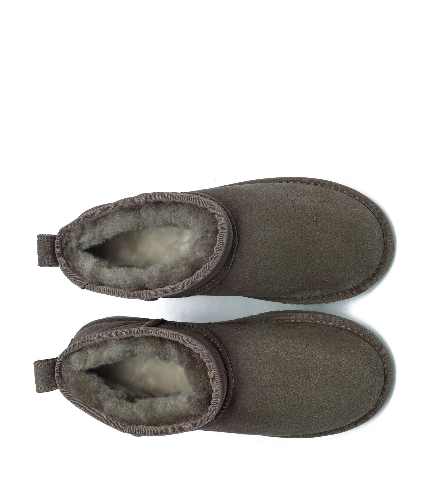 Australian Shepherd Julia Women&