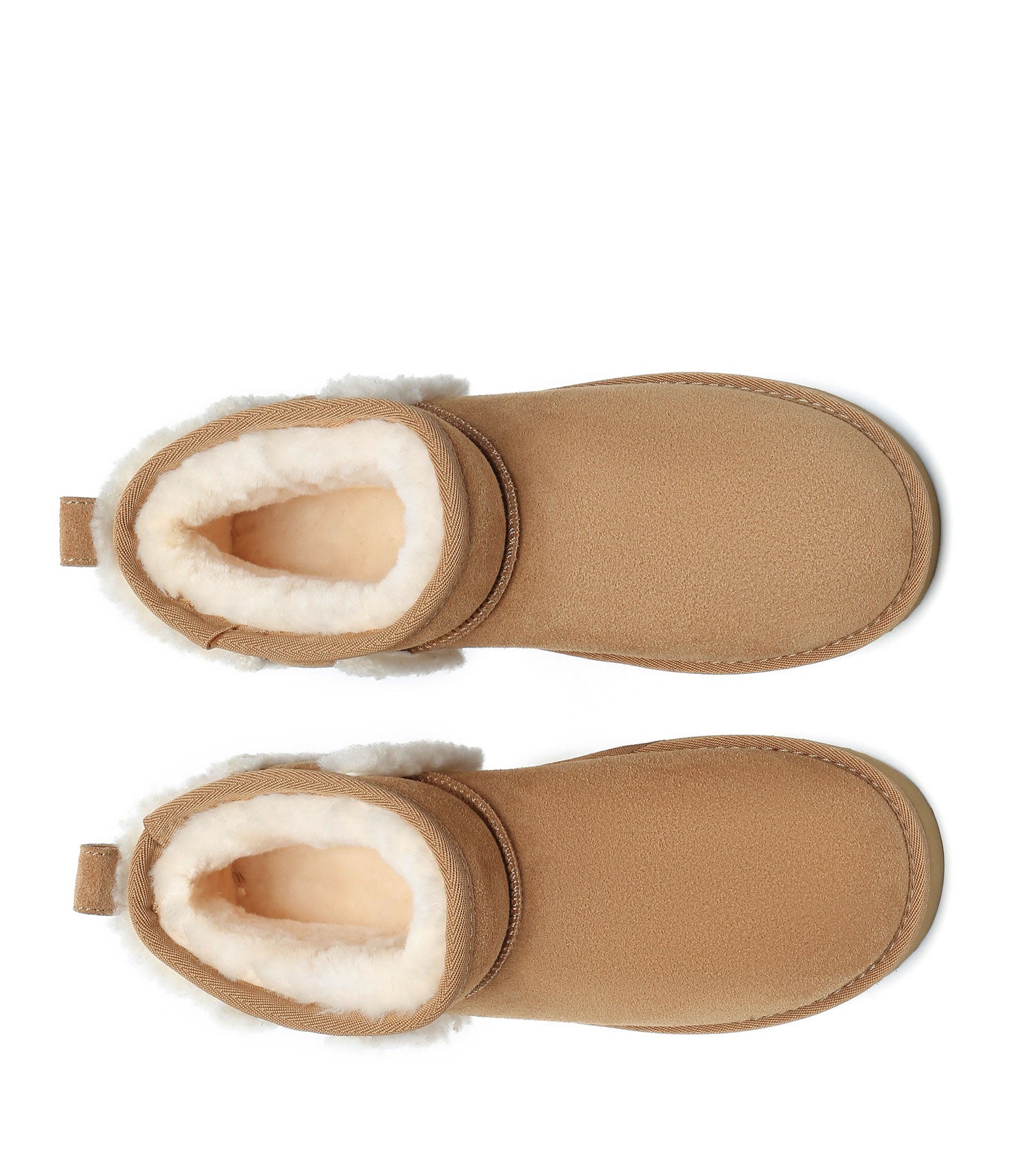 Australian Shepherd UGG Ultra Mini Darby UGG Boots - AS3077-UGG Boots-PEROZ Accessories