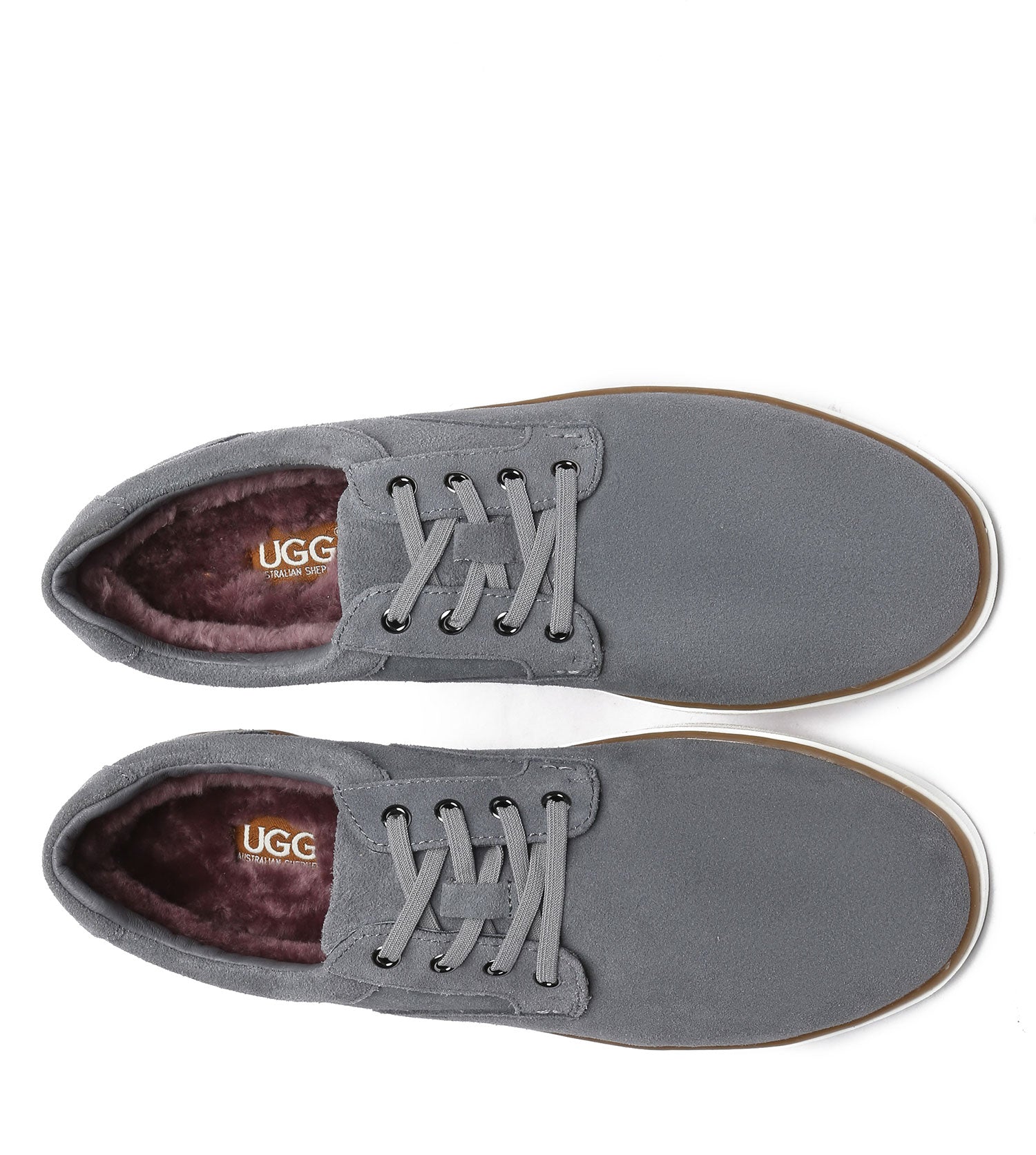 Australian Shepherd William Men&