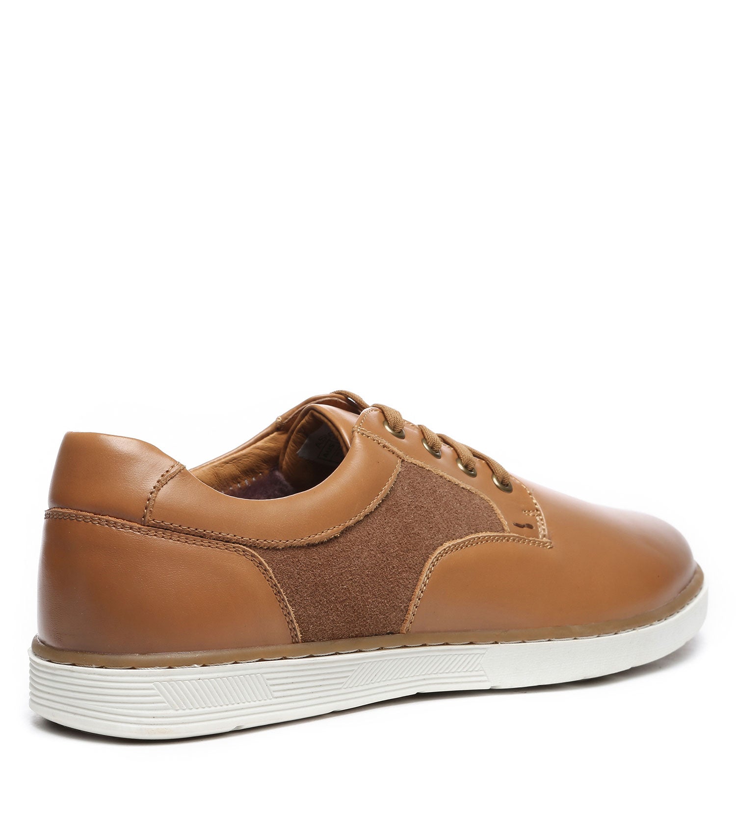 Australian Shepherd Daniel Men&