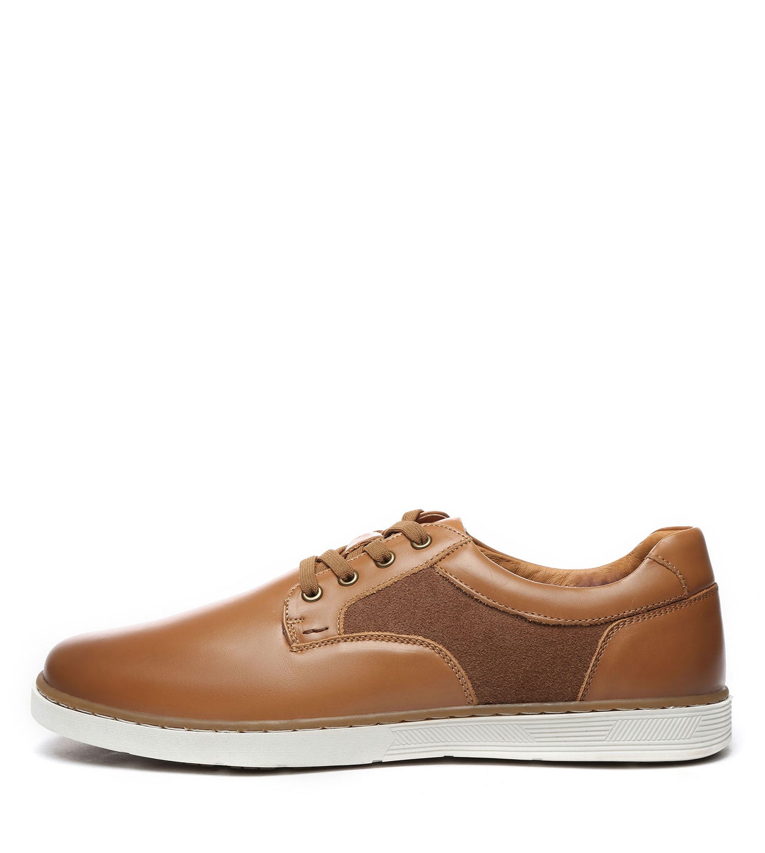 Australian Shepherd Daniel Men&