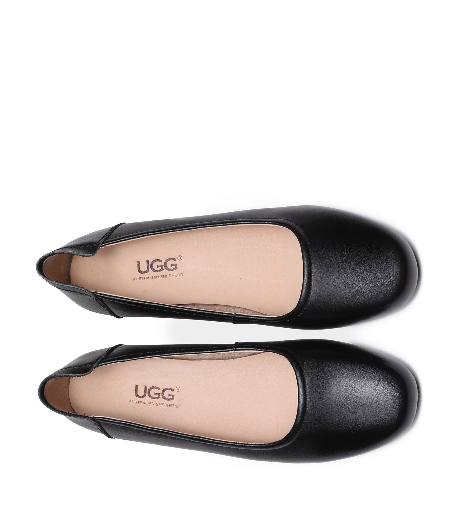 Australian Shepherd Fern Women&