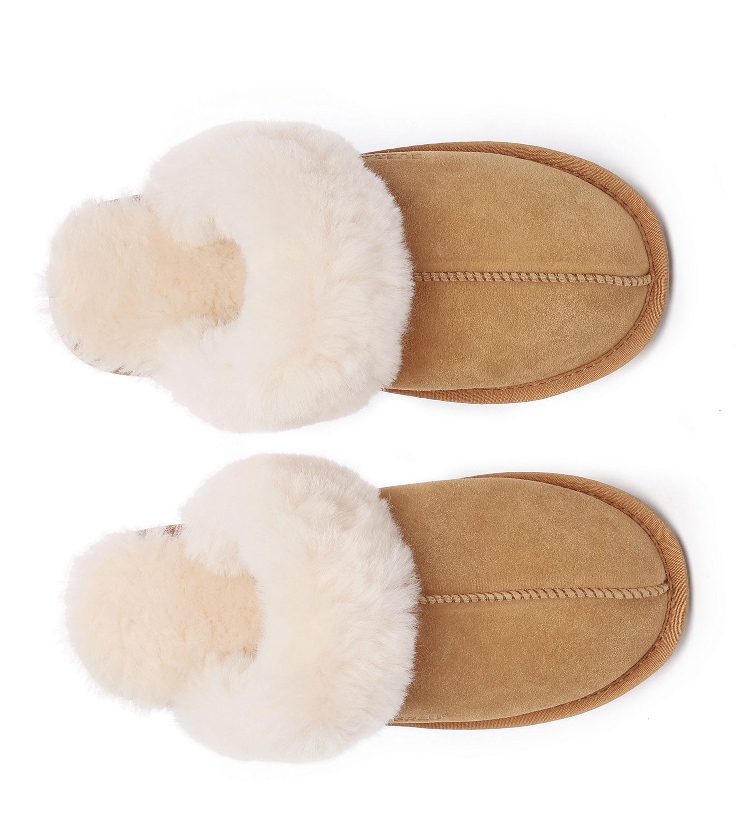 EVERAU Rosa Slipper Suede | House Shoes EA2026-Slippers-PEROZ Accessories