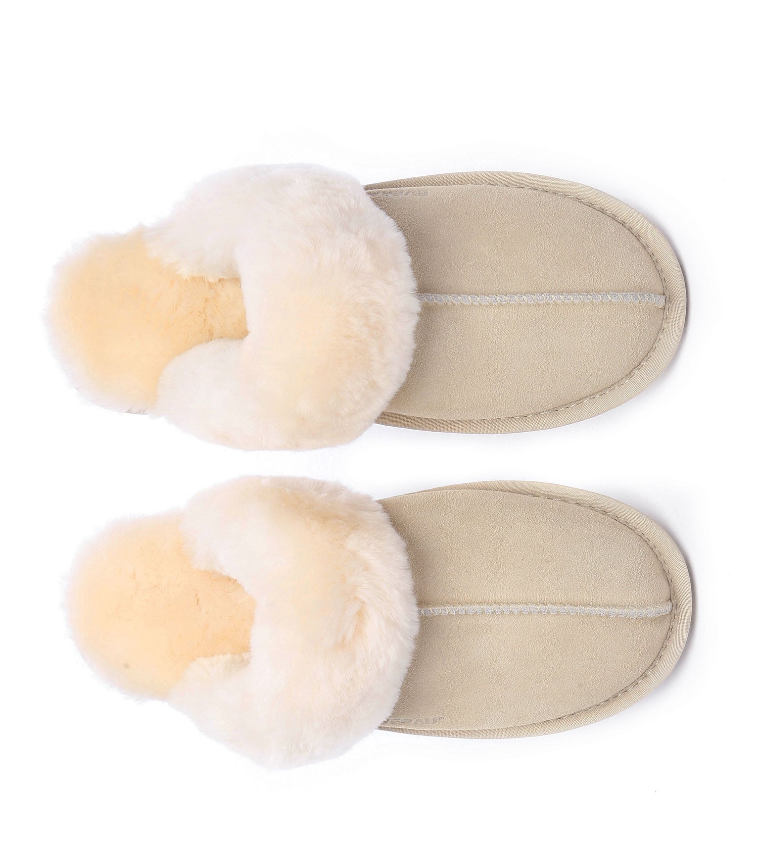 EVERAU Rosa Slipper Suede | House Shoes EA2026-Slippers-PEROZ Accessories