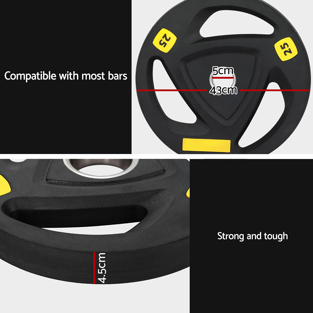 Everfit Weight Plates Standard 25kg Dumbbells Barbells Plate Weight Lifting Home Gym-Sports & Fitness > Exercise, Gym & Fitness > Free Weights-PEROZ Accessories