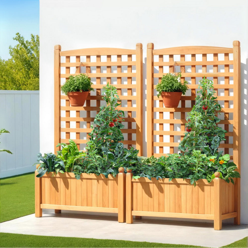 Green Fingers 2X Garden Bed Wooden 64x35x115cm Planter Raised Box Container Trellis-Home & Garden > Garden Beds > Garden Beds & Planters-PEROZ Accessories
