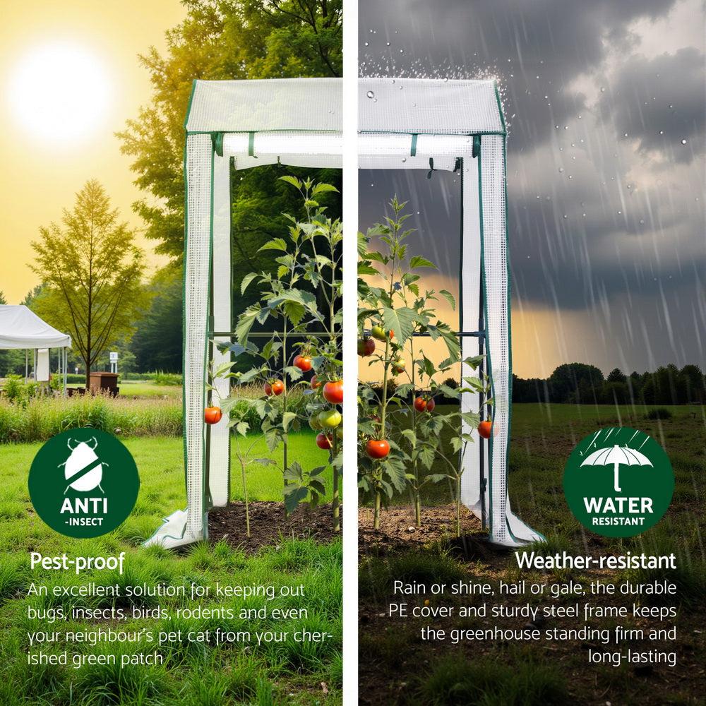 Green Fingers Mini Greenhouse PE Cover Green House Roll-Up Zippered Door 1.0x0.8x1.5M-Home & Garden > Greenhouses > Greenhouses & Accessories-PEROZ Accessories