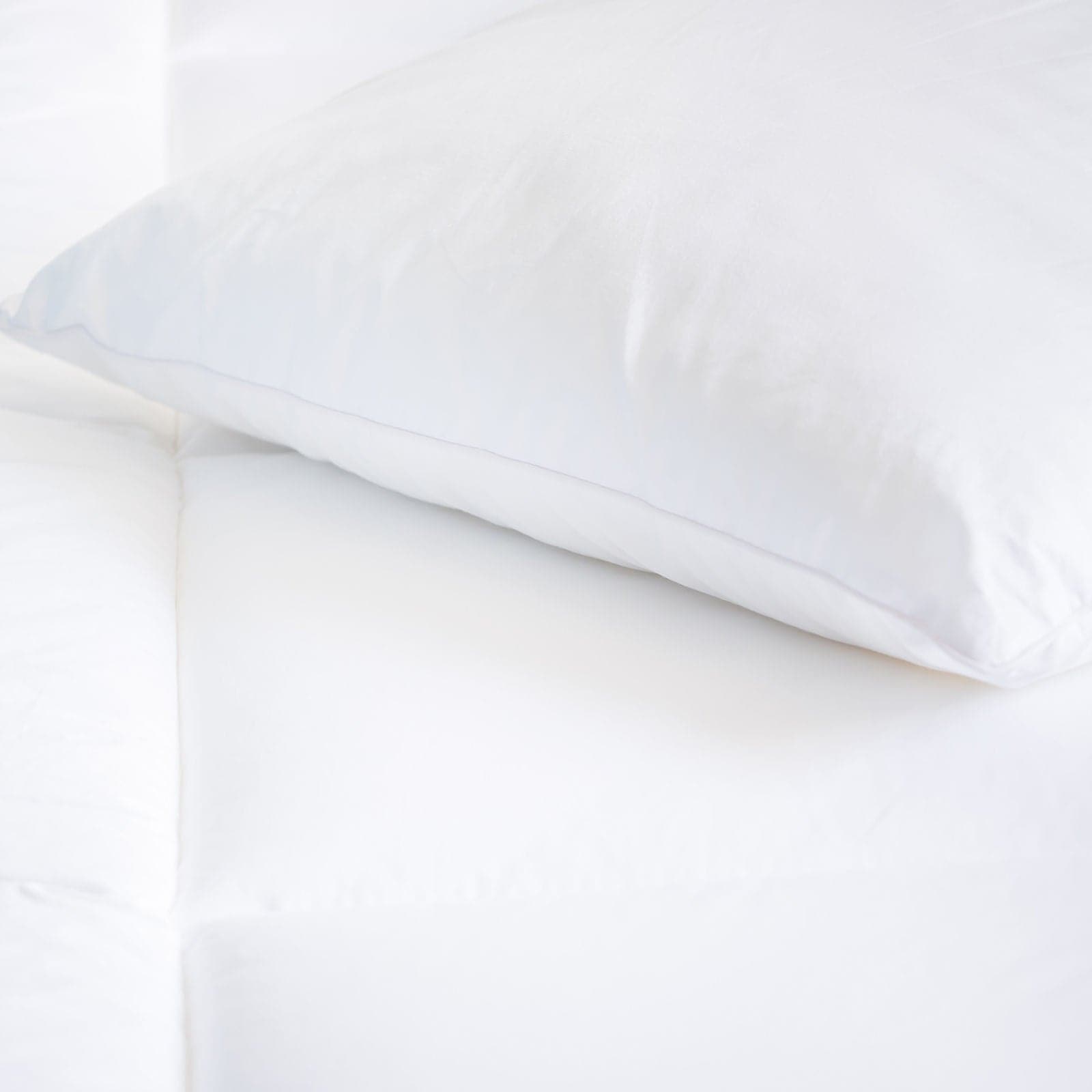 2 x Royal Comfort Tencel Blend Pillows Eco Friendly Breathable Ultra Soft-Bedding-PEROZ Accessories