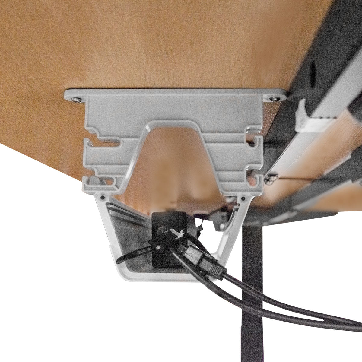 Lifespan Fitness WalkingPad M2 + ErgoDesk 1500mm Oak + Cable Management + DM9 Chair-Walking Pad-PEROZ Accessories