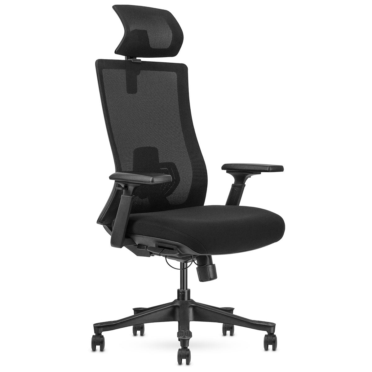 Lifespan Fitness WalkingPad M2 + ErgoDesk 1800mm Oak + Cable Management + DM9 Chair-Walking Pad-PEROZ Accessories