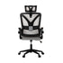 Oikiture Mesh Office Chair Adjustable Lumbar Support D-Shape BK & GY-Office Chair-PEROZ Accessories