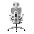 Oikiture Ergonomic Office Chair Mesh Executive Seat WH & GY-Office Chair-PEROZ Accessories