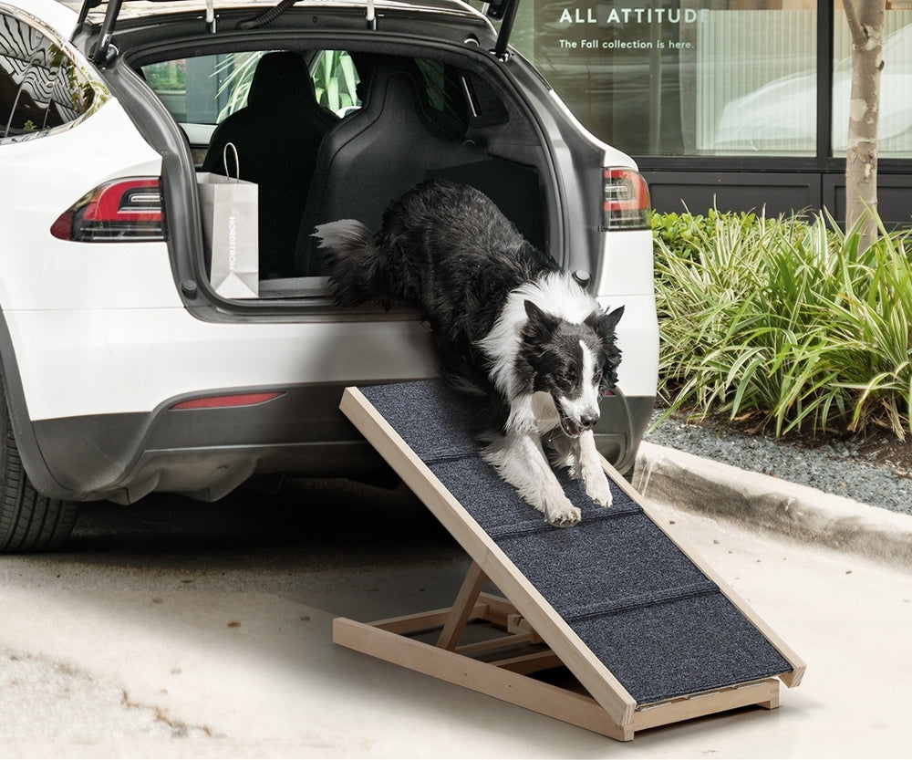 Alopet Dog Pet Ramp Adjustable Height Foldable 70cm-Pet Ramp-PEROZ Accessories