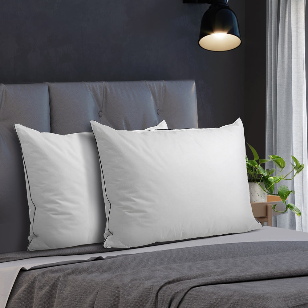 Bedra 75 x 50cm Pillow with Duck Feather Standard Pillow Cotton Cover Twin Pack-Pillows-PEROZ Accessories