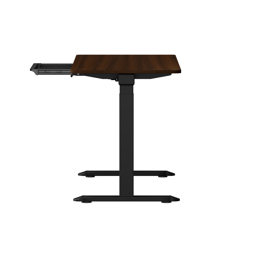 Oikiture 160cm Electric Standing Desk with Drawer Adjustable Black Walnut-Standing Desk-PEROZ Accessories