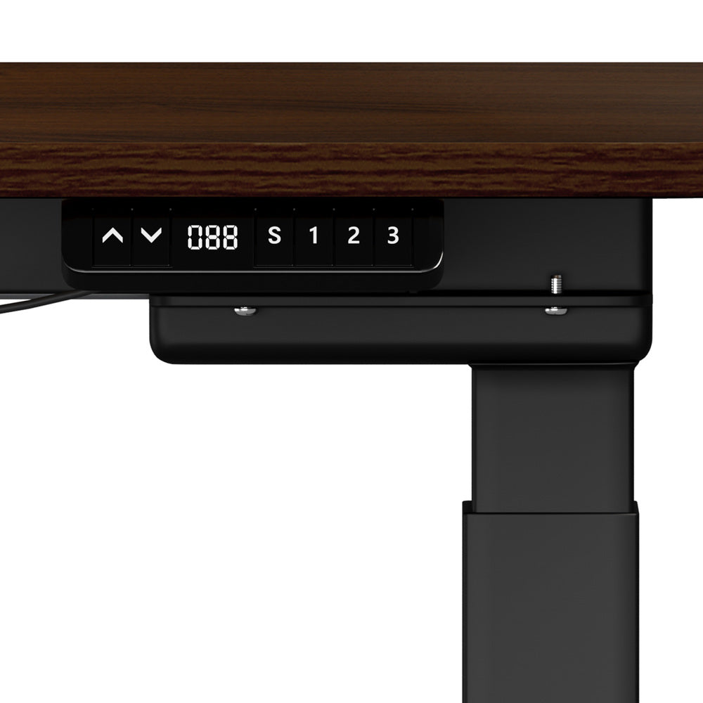 Oikiture 160cm Electric Standing Desk with Drawer Adjustable Black Walnut-Standing Desk-PEROZ Accessories