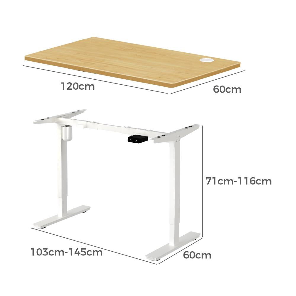 Oikiture Electric Standing Desk Single Motor Height Adjustable Sit Stand Table - 1200mm x 600mm-Standing Desks-PEROZ Accessories