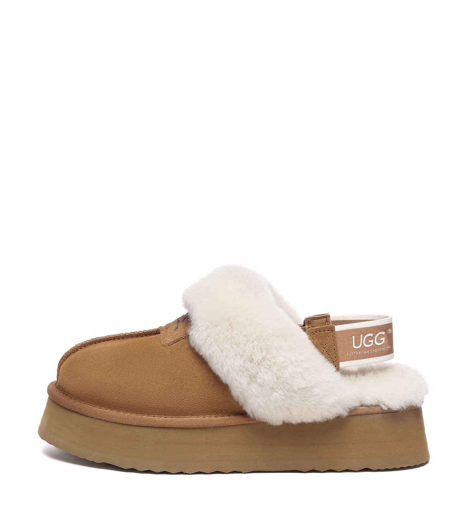 Australian Shepherd SP Suzie Platform UGG Boots - SPAS2065-PEROZ Accessories