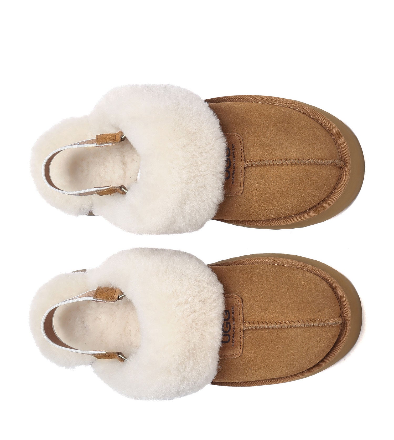 Australian Shepherd SP Suzie Platform UGG Boots - SPAS2065-PEROZ Accessories