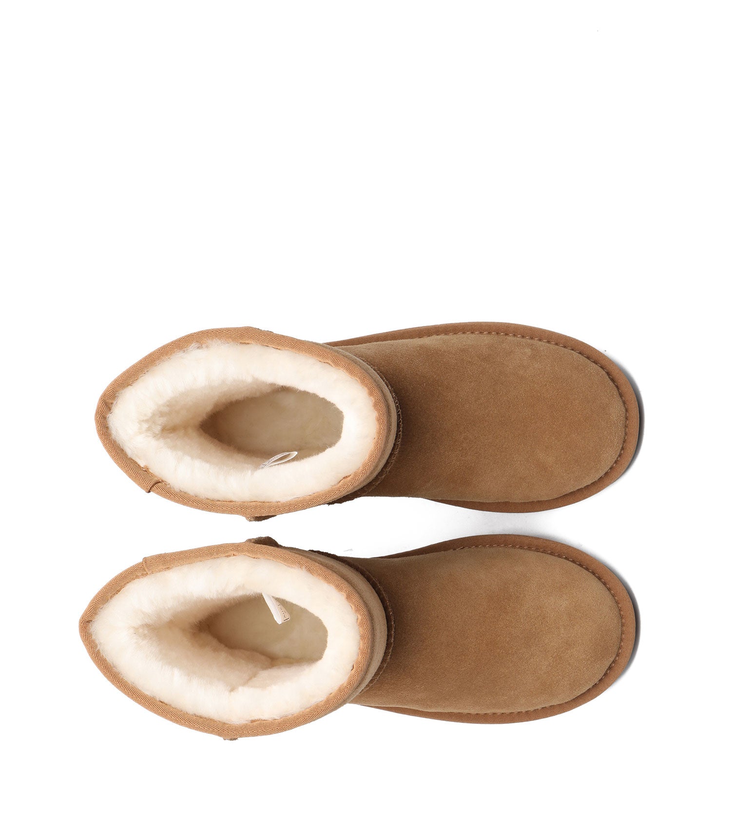 TARRAMARRA SP Short Classic Plus UGG Boots - SPTA3051-PEROZ Accessories