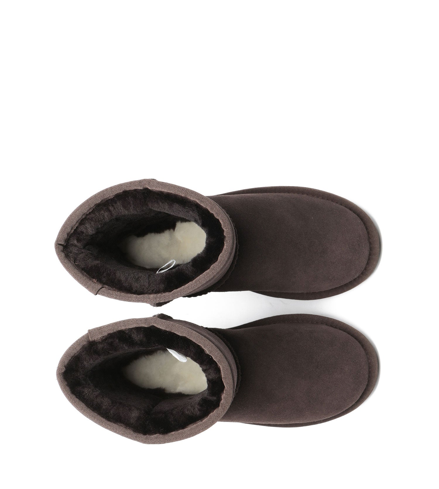 TARRAMARRA SP Short Classic Plus UGG Boots - SPTA3051-PEROZ Accessories